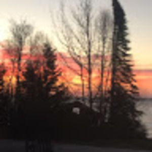 Meet your Posher, Robin